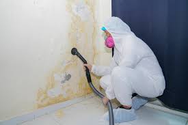 Professional Mold Remediation in Robertsville, NJ